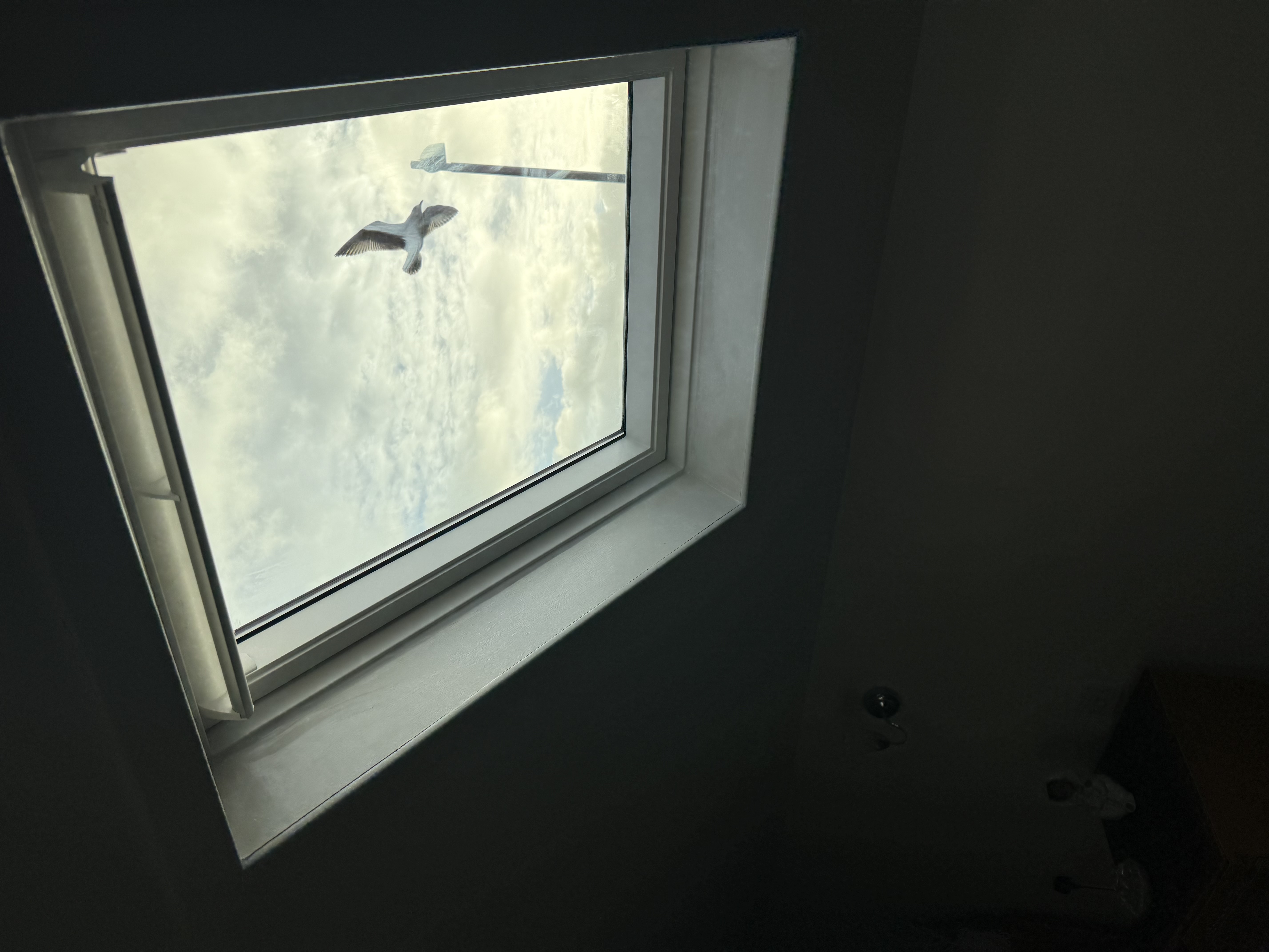 Example VELUX glass replacement work by Skylight Fitters
