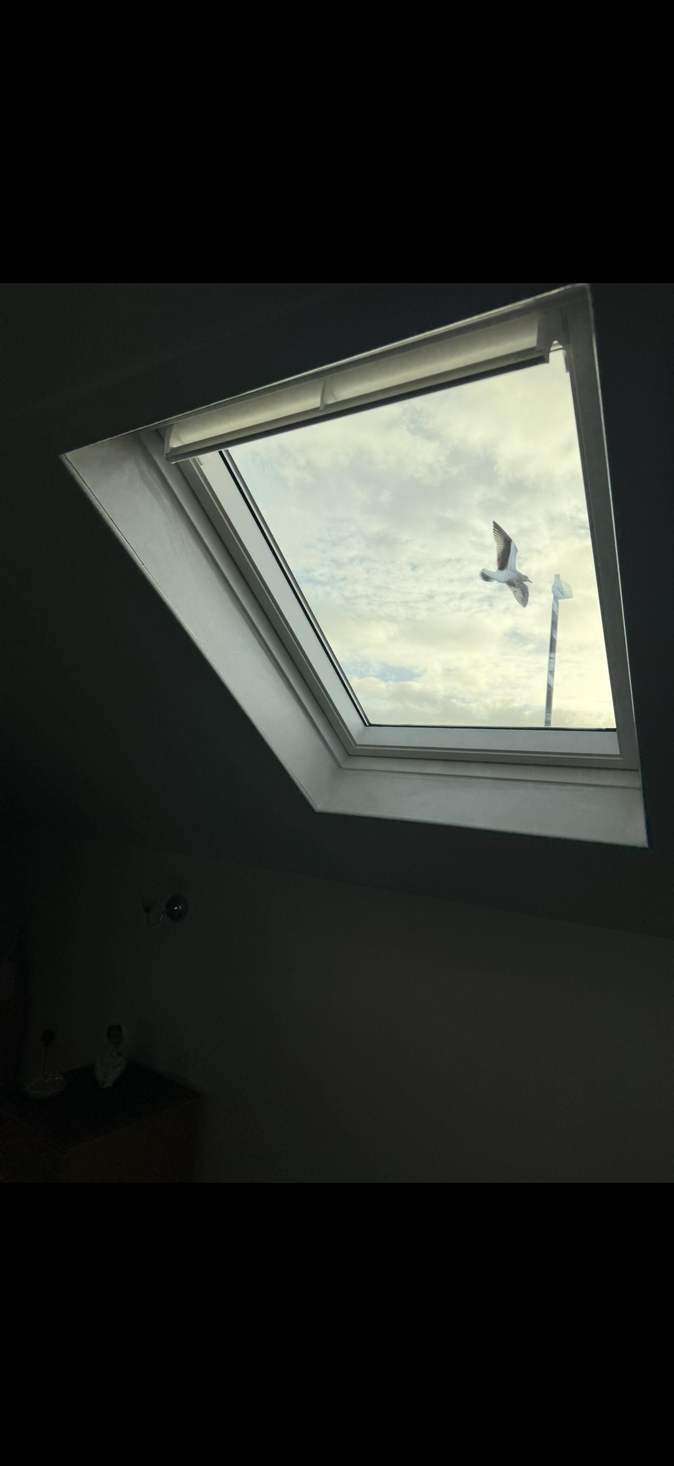 Photo showing a completed VELUX glass replacement